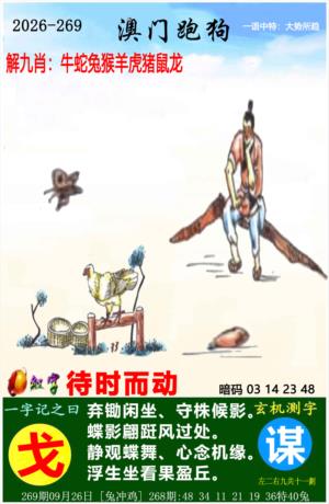 澳门跑狗图
