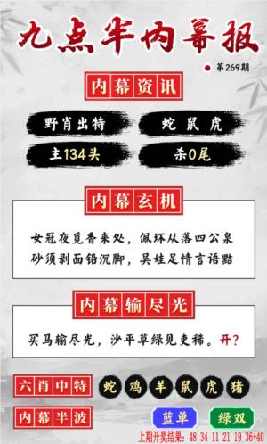 九点半内幕报