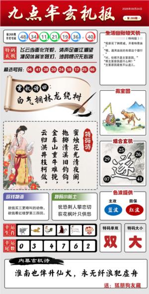 九点半玄机报
